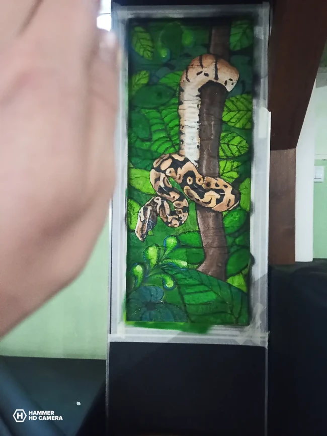 Malba na stenu Bar Jungle G 31