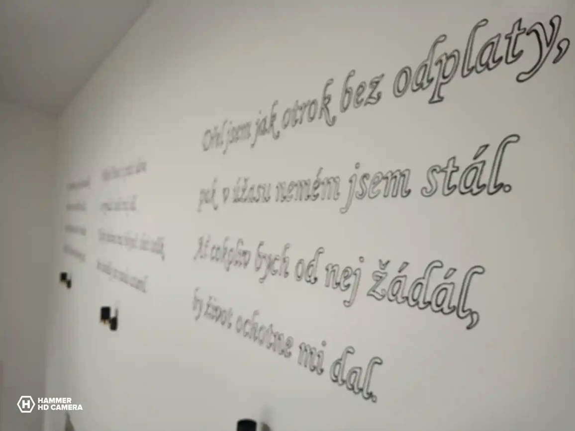 Malba na stenu Rodinny dom v Snine 8