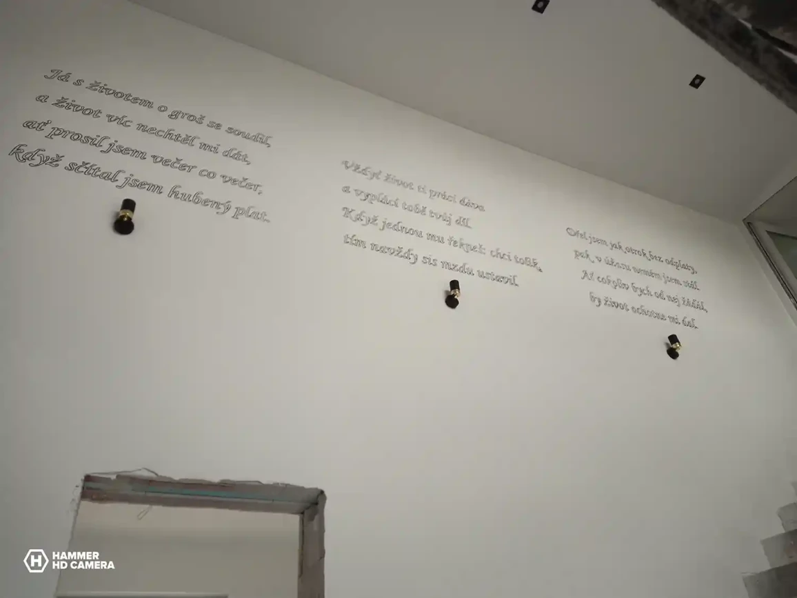 Malba na stenu Rodinny dom v Snine 9